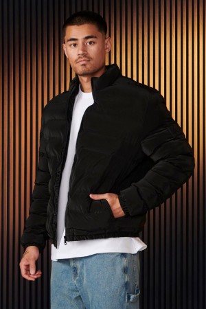 Young LA 536 - Everyday Puffers Black | Australia CGQUH-5824